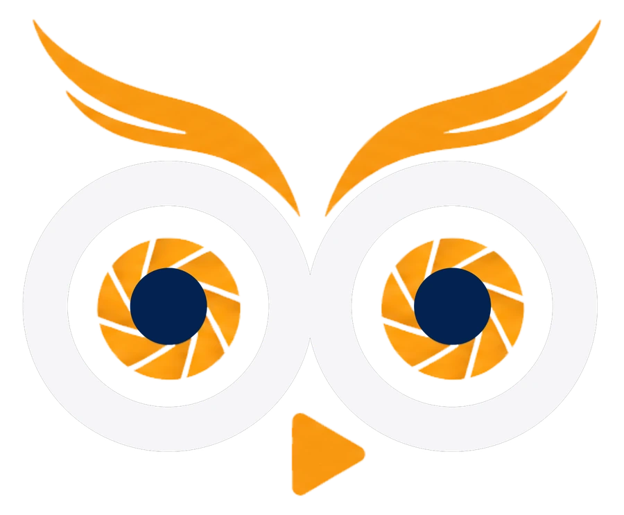 The HootLab Media owl