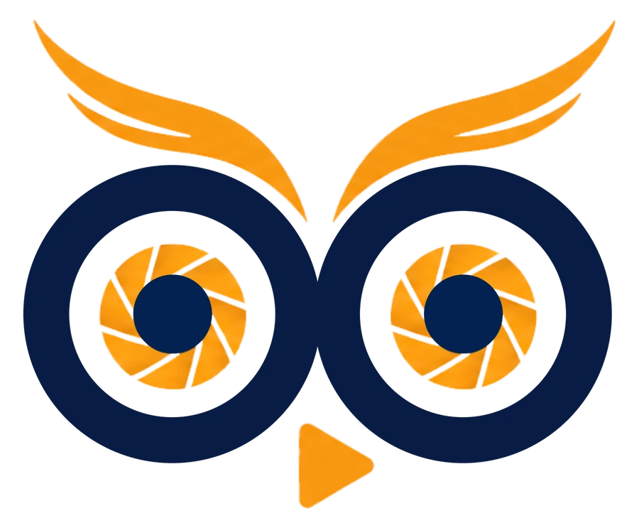 The HootLab Media owl